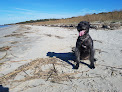 Negocio Seabrook Island Beach