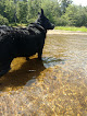Negocio Sewalls Falls Beach Trail