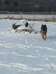 Negocio Shaker Field Dog Park