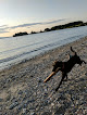 Negocio Shelburne Town Beach