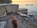 Negocio Shorewood Beach