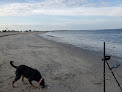 Negocio Short Beach Park