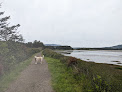 Negocio Sitka Sedge Parking And Trailhead