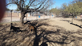 Negocio Smiling Dog Ranch Dog Park