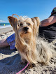 Negocio South Beach Park