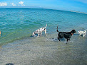 Negocio South Brohard Beach Paw Park
