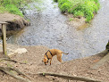 Negocio Southbury Dog Park