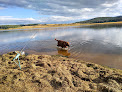 Negocio Steamboat Lake State Park