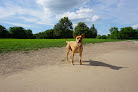 Negocio Stoll Off-Leash Dog Park