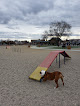 Negocio Storey Bark Park
