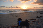 Negocio Stuart Beach