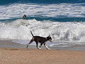 Negocio Stuart Beach