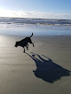 Negocio Sullivan's Island Beach