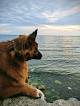 Negocio Sunset Beach Park