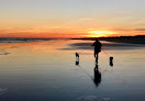 Negocio Sunset Beach Seashore