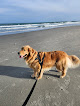 Negocio Surfside Beach
