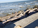 Negocio Surfside Jetty County Park
