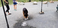 Negocio Takoma Park Dog Park