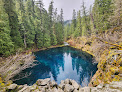Negocio Tamolitch Falls (Blue Pool)