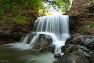 Negocio Tanyard Creek Nature Trail
