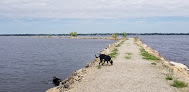 Negocio Terrell's Island