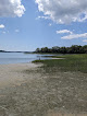 Negocio Thomas Point Beach