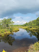 Negocio Tobyhanna State Park