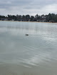 Negocio Traverse City Public Beach