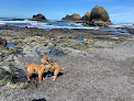 Negocio Tunnel Beach