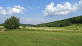 Negocio Turtle Creek Park