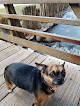 Negocio Two Rivers Ruidoso River Park