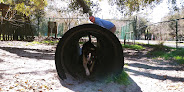 Negocio Tybee Island Dog Park I