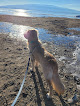 Negocio Utah Lake Shore Trail