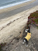 Negocio Venice State Beach