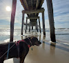 Negocio Ventnor City Beach