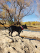 Negocio Verde River Rec Site