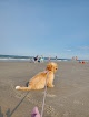 Negocio Vilano Beach