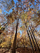 Negocio Volunteer Trail