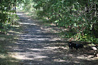Negocio Wanskuck Park