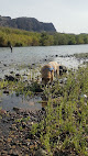 Negocio Water Users Recreation Site