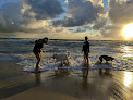Negocio Weekend Dog Beach