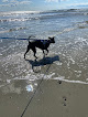 Negocio Wells Beach