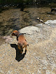Negocio West Mill Creek Park