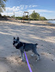 Negocio Whihala Beach County Park