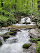Negocio White Rock Falls Trailhead