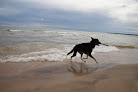 Negocio Whitefish Dunes State Park