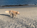 Negocio Willard Beach