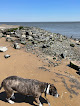 Negocio Woodland Beach