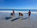 Negocio Wrightsville Beach, Nc