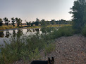 Negocio Yampa River State Park